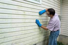 Best Storm Damage Siding Repair  in Centerville, SC